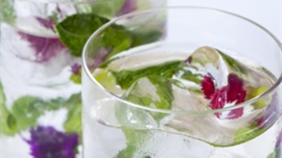 Elderflower Mojito Cocktail