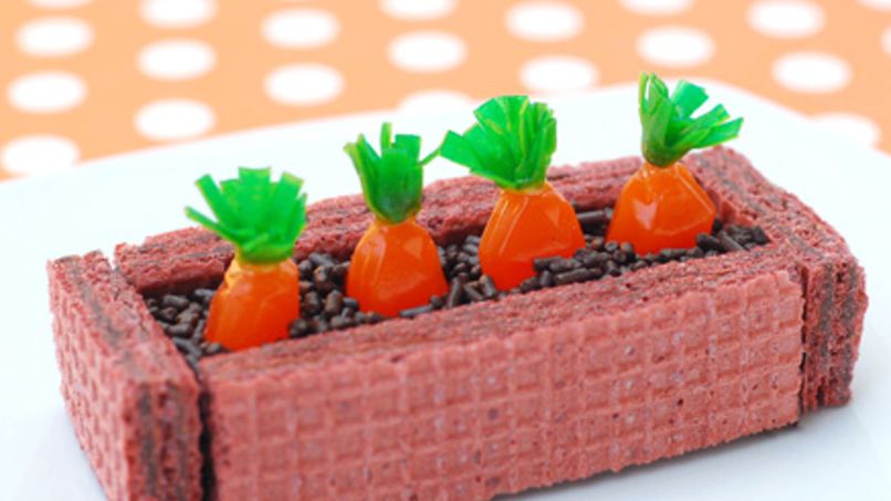 Huerta de Zanahorias con Fruit Gushers™