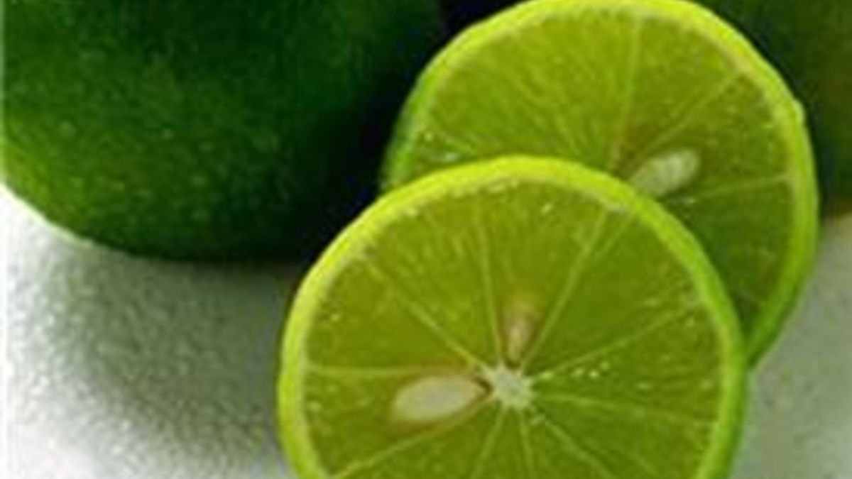 Margarita Martini