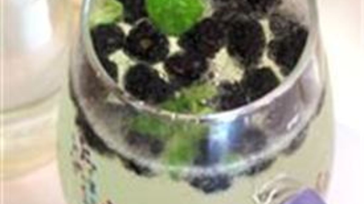 Blackberry Elderflower Spritzer with Mint