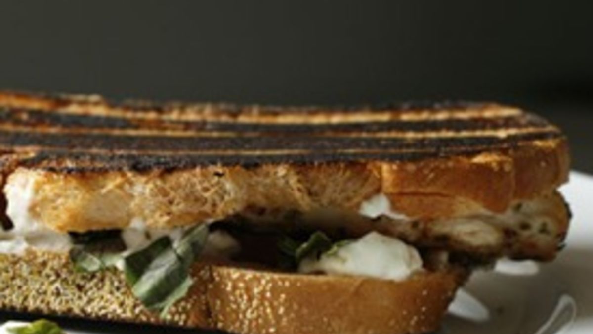 Grilled Chicken, Goat Cheese, Tomato and Basil Panini