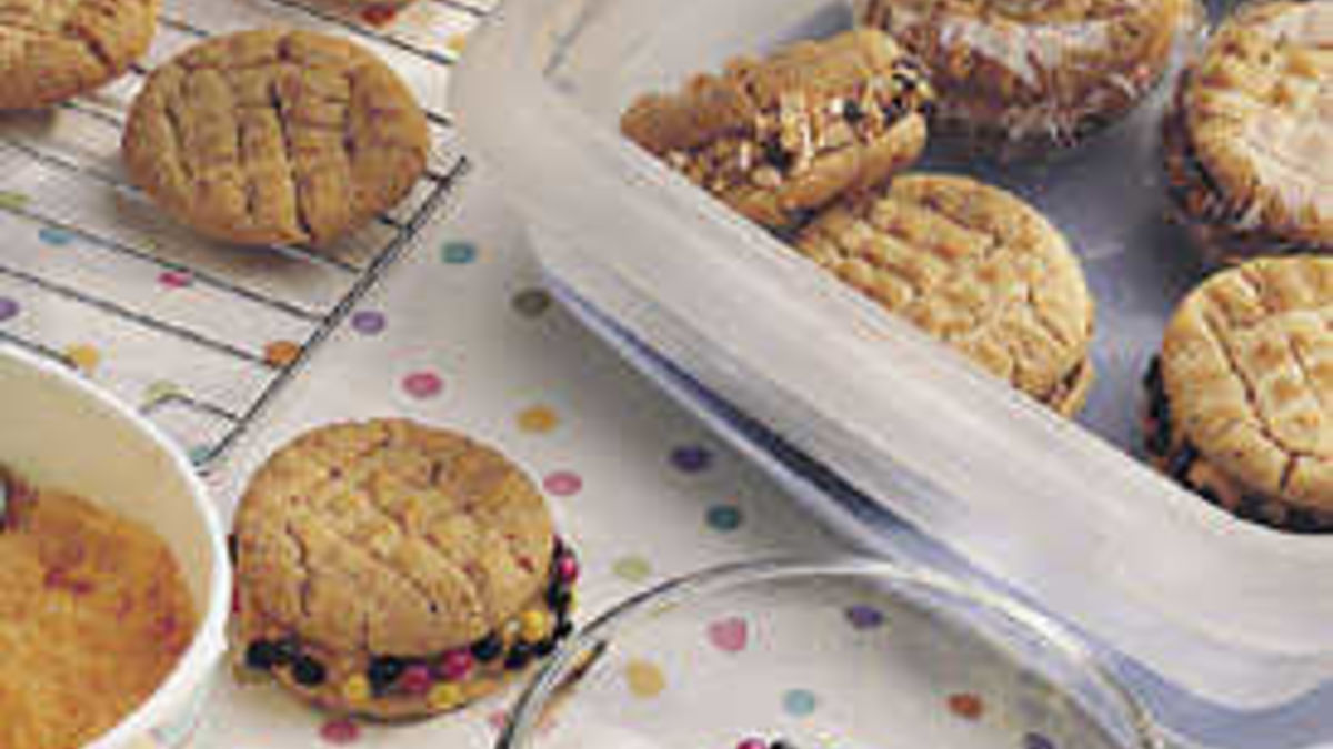 Disappearing Act Ice-Cream Sandwiches