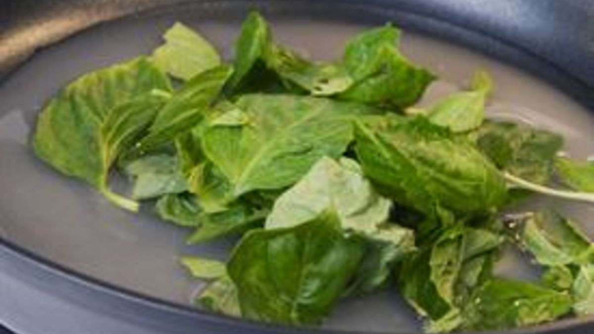 Basil Simple Syrup