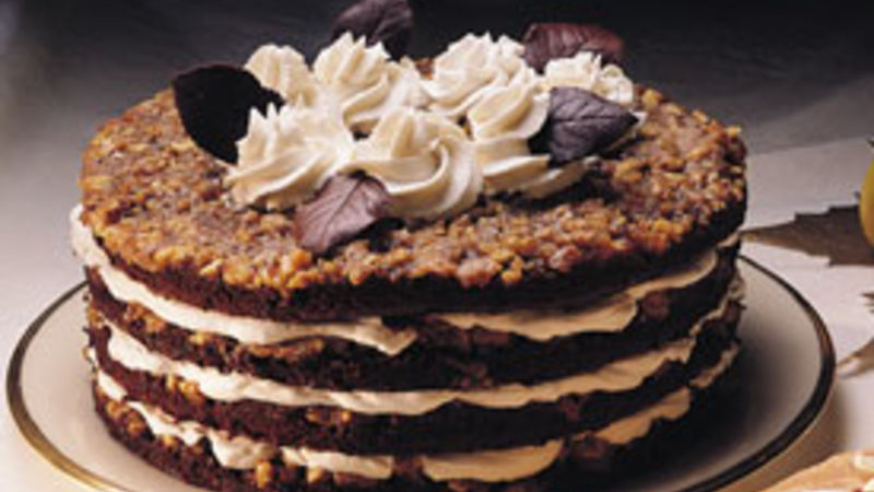 Chocolate-Walnut Torte Recipe - BettyCrocker.com