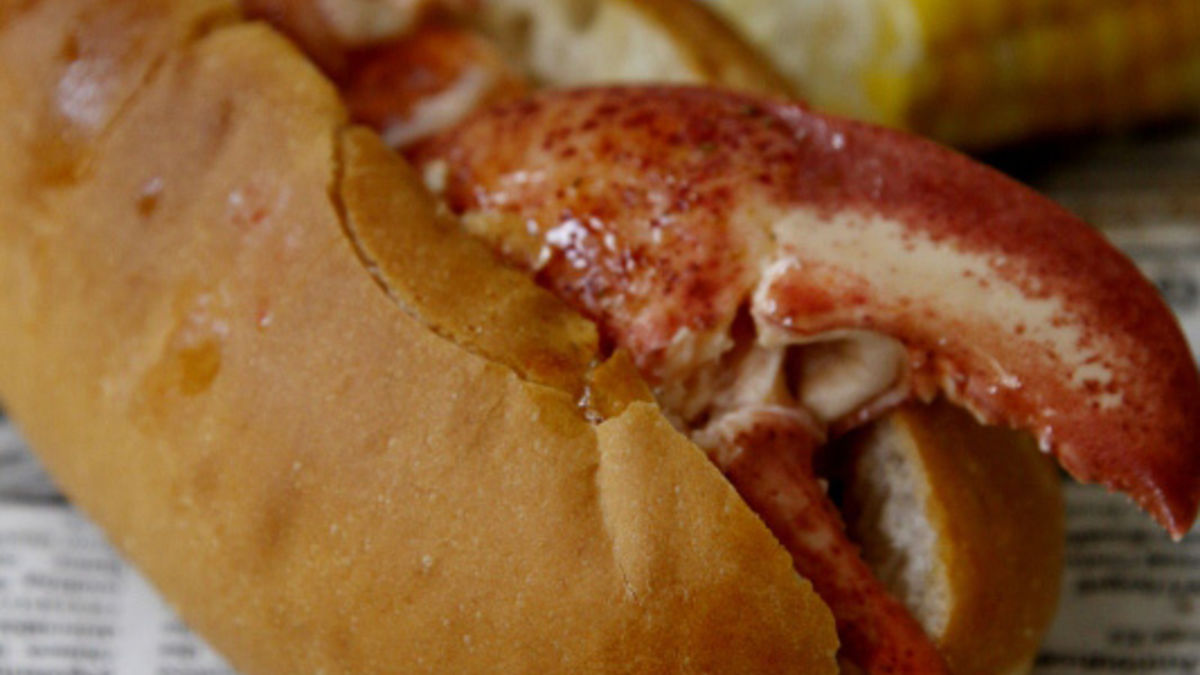 Connecticut Lobster Roll