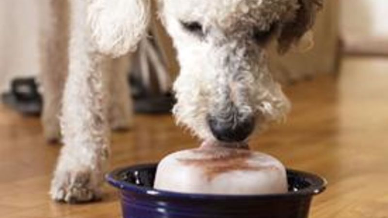 Doggy Ice Treats Recipe - Tablespoon.com