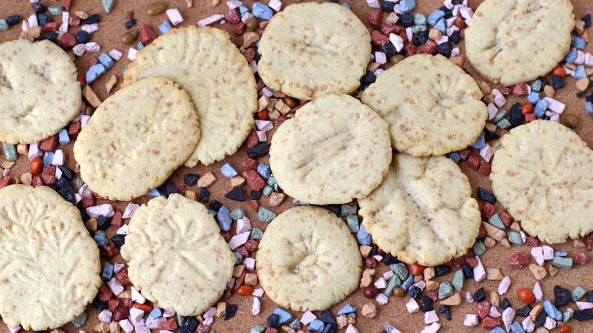 Fossil Cookies